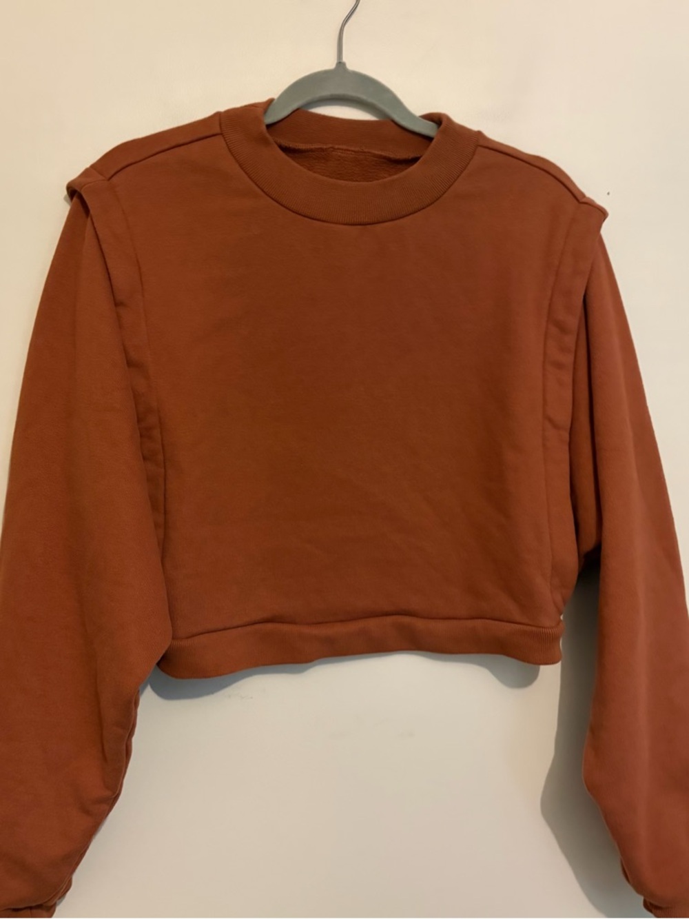 Alo Boxy Oversized Long Sleeve Crop Top Sweatshirt sz M Medium L large